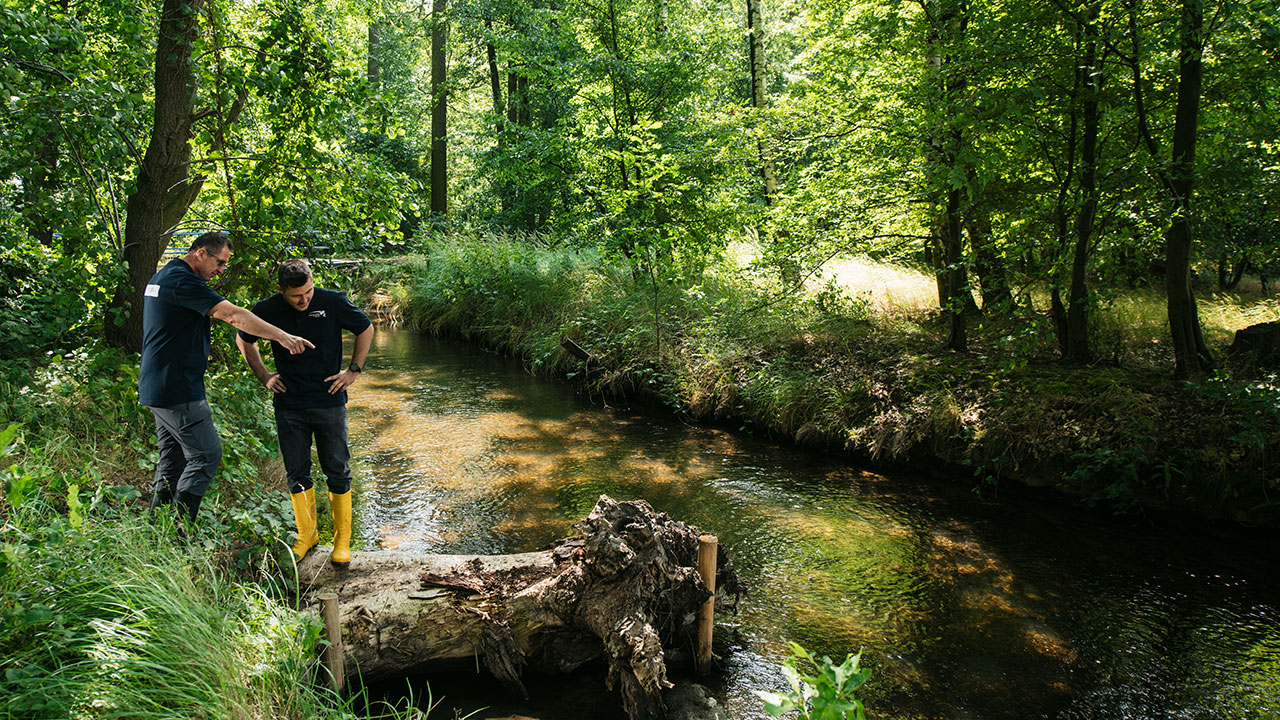 Peter Hollas und Andreas Zink vom Betrieb Oberes Elbtal begutachten einen Abschnitt der Kleinen Röder bei Görzig (Lkr. Meißen), der 2023 renaturiert wurde.(Foto: © Landestalsperrenverwaltung Sachsen / Fotograf Robert Lohse)