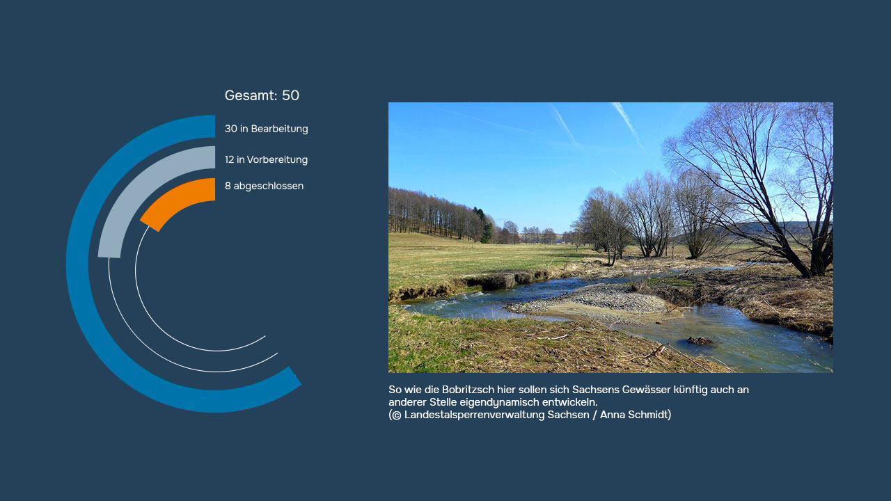 Bild eines Flusslaufs neben einem Kreisdiagramm, das den Fortschritt von 50 Projekten zeigt: 30 in Bearbeitung, 12 in Vorbereitung und 8 abgeschlossen.